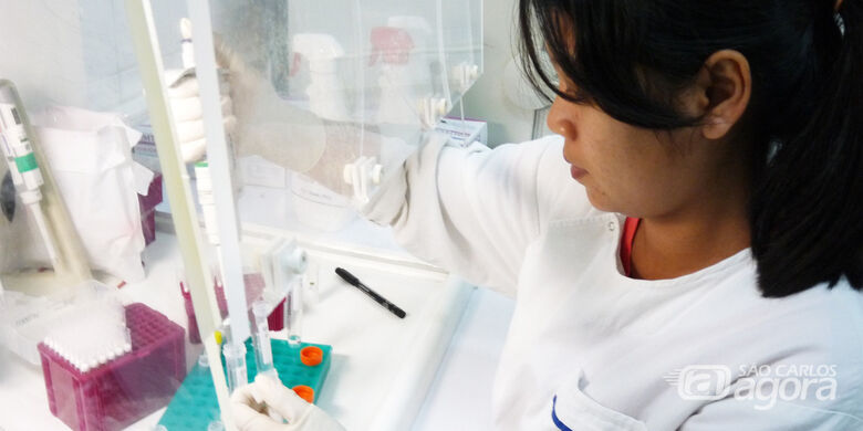 Pesquisadora USP - Crédito: divulgação