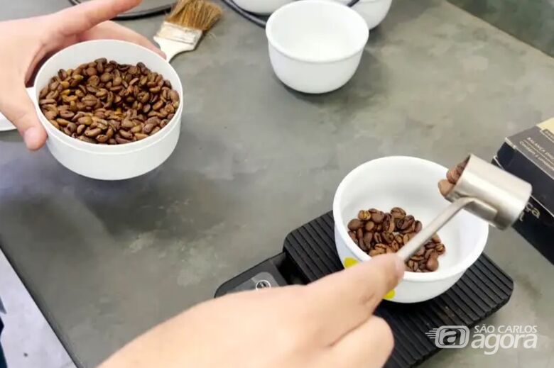 São Carlos pode produzir cafés especiais e integrar rota turística - 
