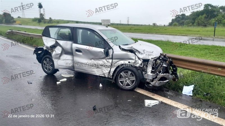 Cachorro na pista causa acidente na Washington Luís -