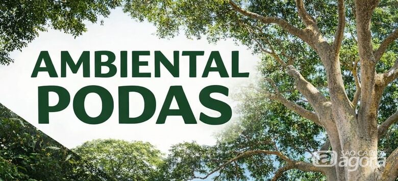 Empresa oferece serviços especializados em manejo e corte de árvores - 