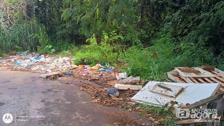 Moradores do Santa Felícia pedem limpeza em área com mato alto e risco de escorpiões -