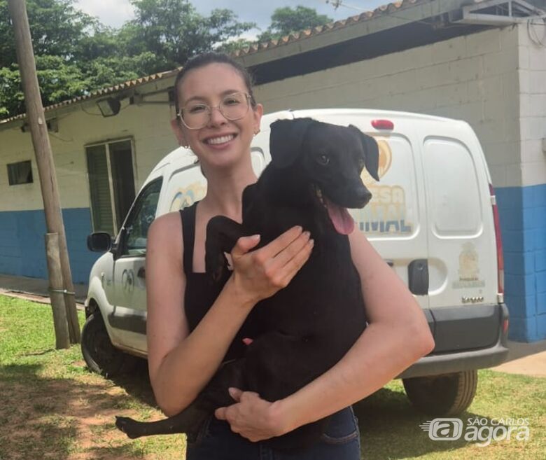 Canil Municipal promove 2ª Feira de Adoção de Cães e Gatos neste sábado - 