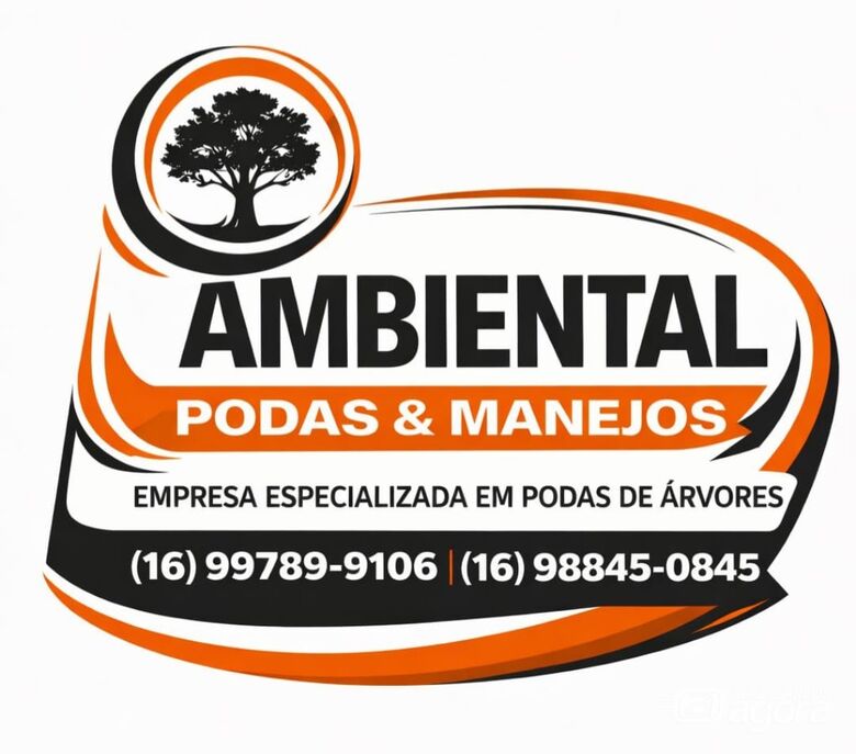 Ambiental Podas se destaca em São Carlos pela atuação técnica e poda responsável -