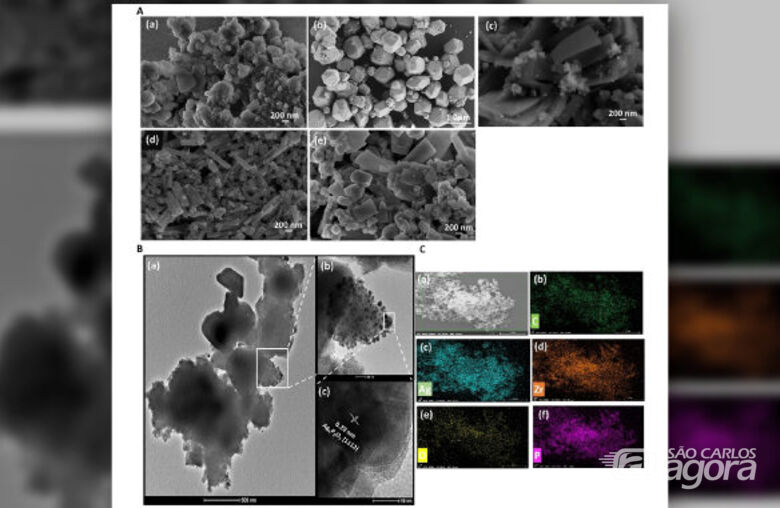 Pesquisadores de São Carlos avançam em materiais porosos premiados com o Nobel de Química 2025 -