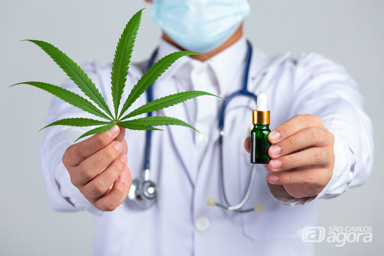 Anvisa publica novas regras para produção, pesquisa e uso medicinal da cannabis no Brasil - 