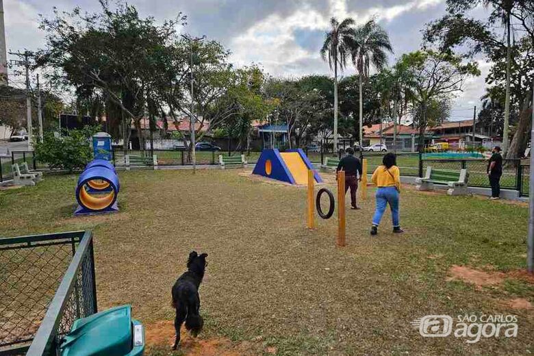 Área de soltura no Canil Municipal - Crédito: divulgação