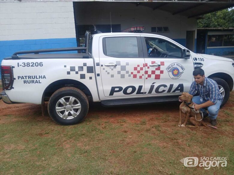 Patrulha Rural da Polícia Militar resgata pitbull abandonada na SP-215  - Crédito: SCA