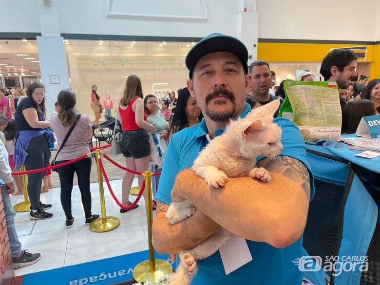 Shopping Iguatemi recebe 2&ordm; Encontro de gatos de raça raras  - Crédito: Lourival Izaque 