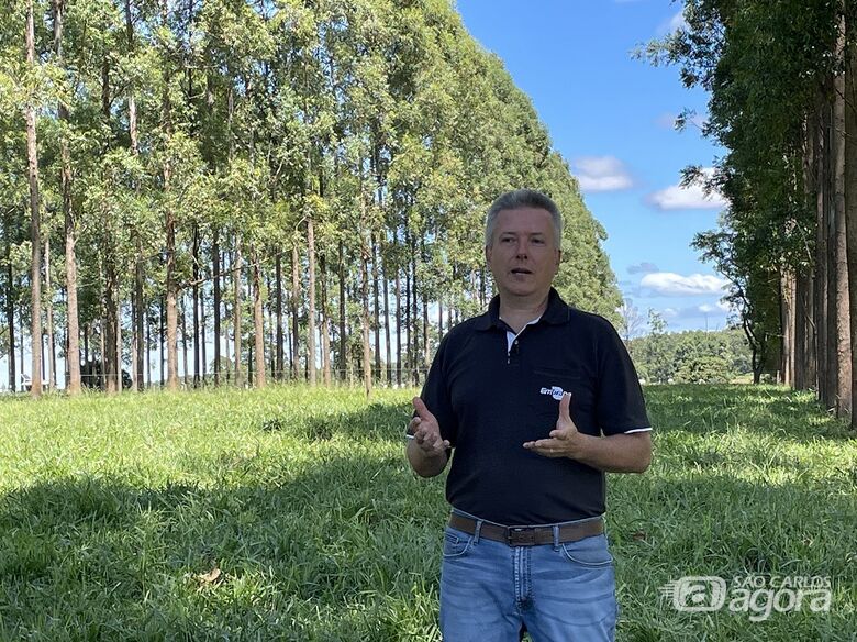 Pesquisadores da Embrapa participam de grupo consultivo técnico da FAO -