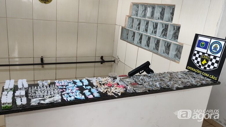 Canil da Guarda Municipal localiza drogas e simulacro de arma no Santa Angelina - Crédito: SCA