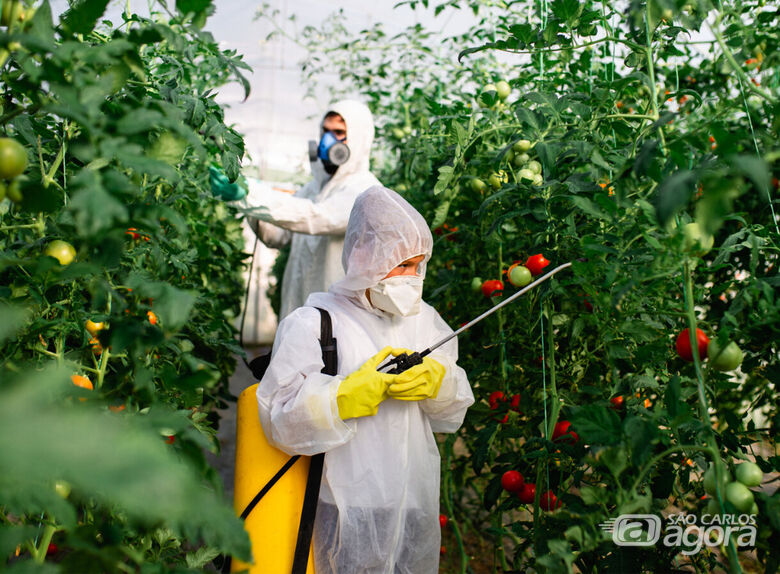 Homens aplicam agrotóxicos  - Crédito: divulgação