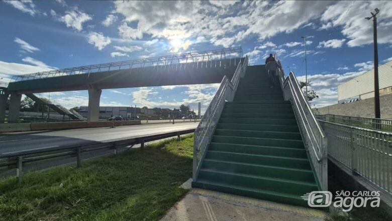 Passarela instalada na rodovia Washington Luís - Crédito: divulgação 