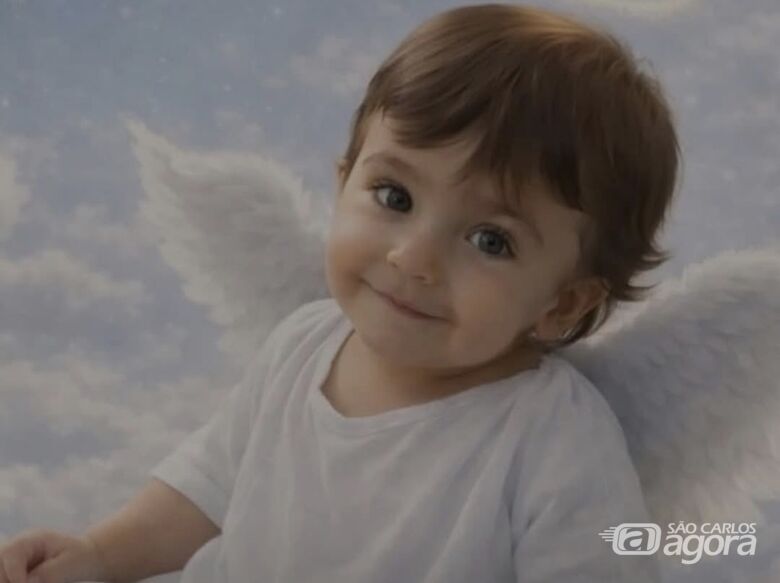 Bebê de 11 meses morre após árvore atingir casa - Crédito: Arquivo pessoal 