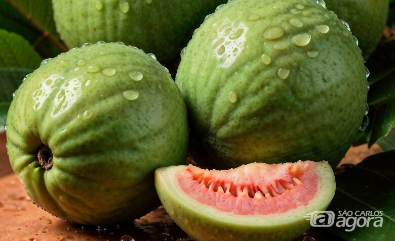 Goiaba vermelha registra queda de quase 32% no preço  - 