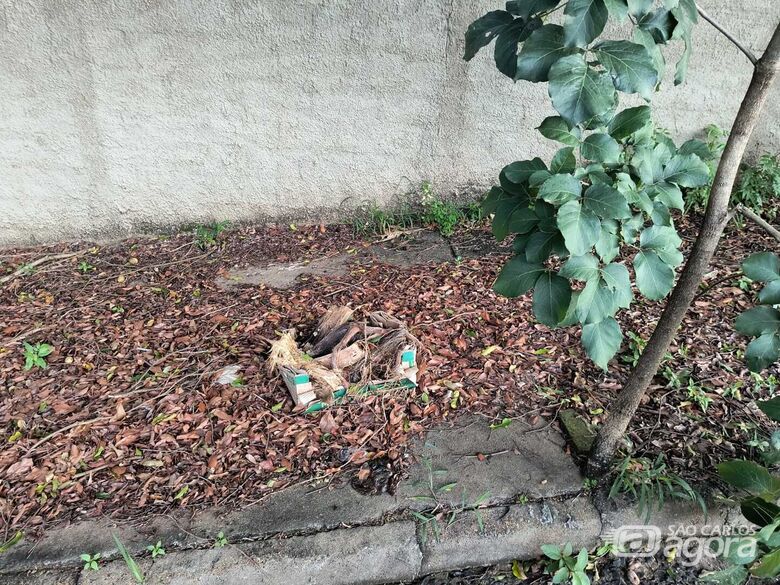 Moradores cobram por limpeza e segurança no entorno da Escola Conde do Pinhal - 