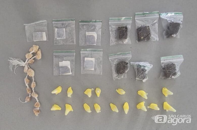 Guarda Municipal apreende drogas escondidas em micro-ônibus no Jardim Cruzado, em Ibaté - 