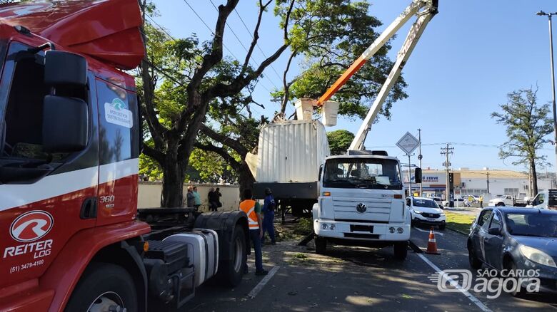 Caminhão colide em árvore e complica o trânsito na região do cemitério Nossa Senhora do Carmo  - Crédito: SCA