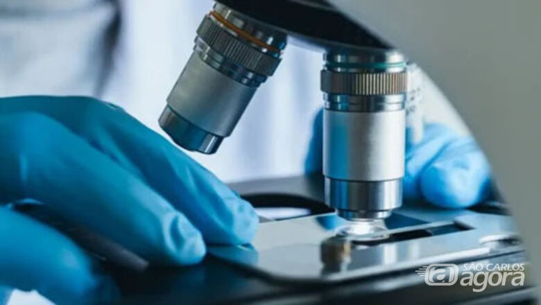 Estudo com contribuição da USP São Carlos revela como quimioterápicos afetam células do coração - 