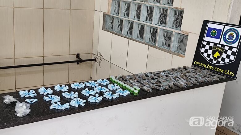 Canil da Guarda Municipal localiza grande quantidade de drogas no bairro São Carlos 5 - Crédito: SCA