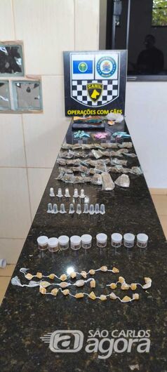 Canil da Guarda Municipal prende homem com drogas e dinheiro no Santa Angelina - Crédito: Foto: Divulgação/GCM