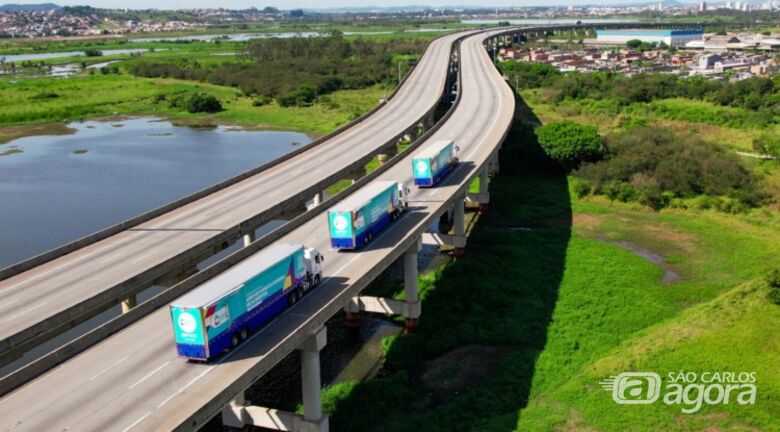 Carreta do Caminho da Capacitação oferece curso gratuito de banho e tosa em março -