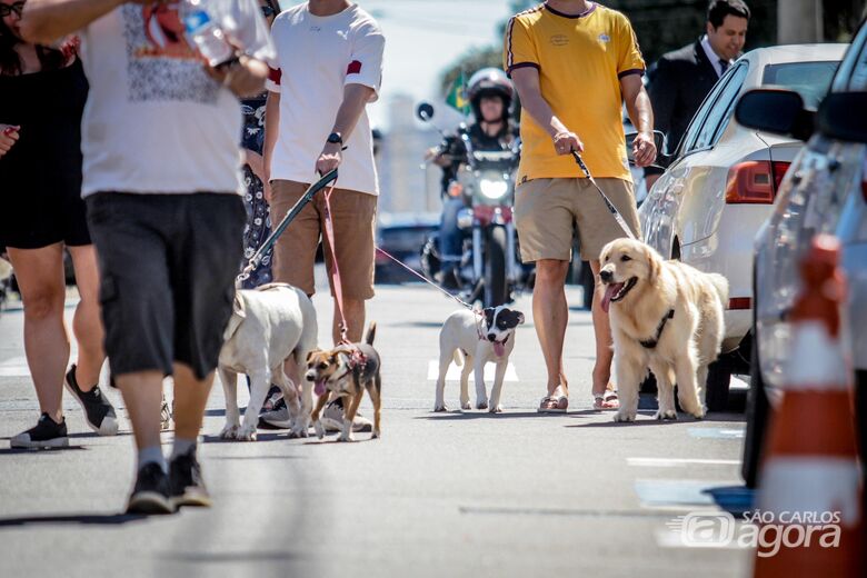 Caminhada Pet reúne tutores e arrecada ração para animais resgatados em São Carlos - Crédito: Lourival Izaque 