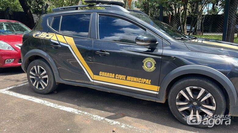 Viatura Guarda Municipal Ibaté - 