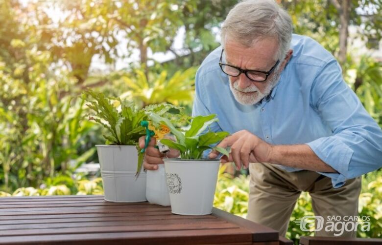 imagem ilustrativa - Crédito: Freepik