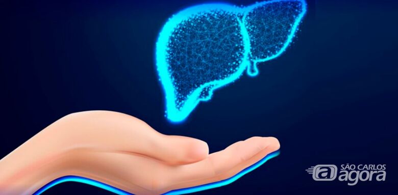 Rede de moléculas pode ajudar a diagnosticar gravidade de doenças do fígado - Crédito: Freepik