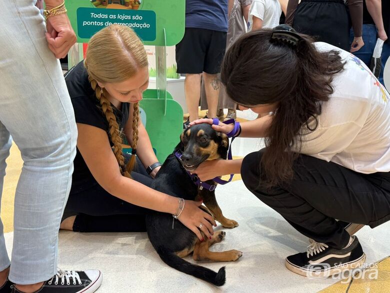 Shopping São Carlos promove 1&ordm; "Cão-curso" em celebração ao Dia Nacional dos Animais - Crédito: divulgação