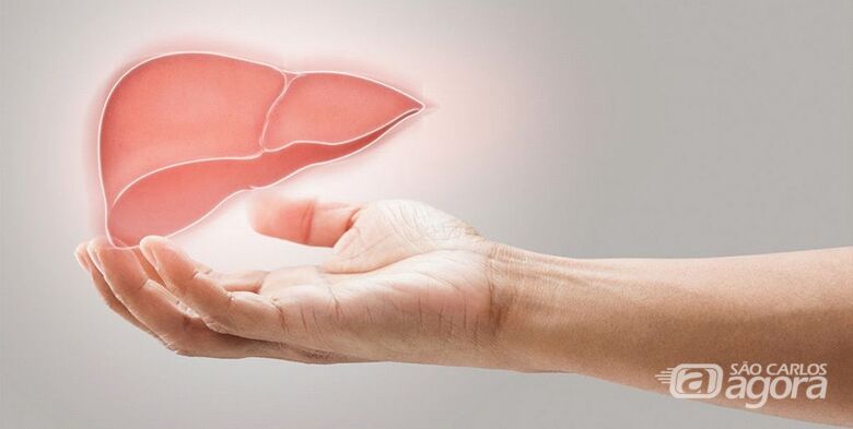 Luz violeta para salvar vidas: como a fluorescência pode ajudar médicos a avaliar fígados durante transplantes - Crédito: Imagem: https://drfabriciocoelho.com.br