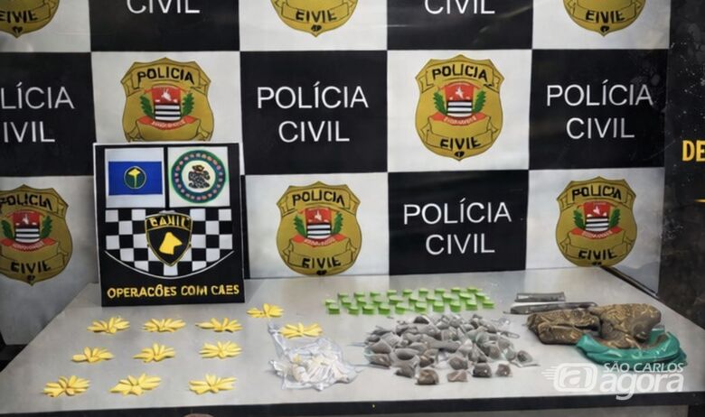 DISE apreende drogas escondidas em terreno próximo a escola em São Carlos - 