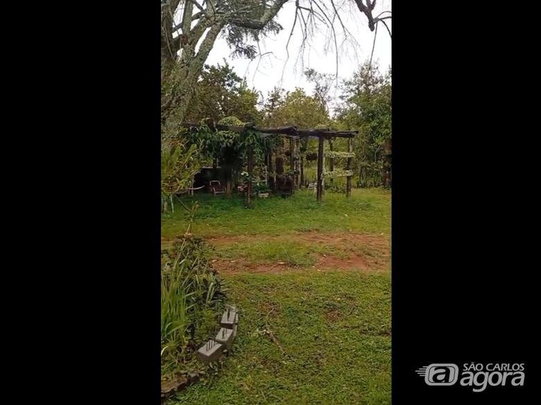 Moradores do Recanto das Oliveiras contestam ação e alegam conservação ambiental - Crédito: divulgação