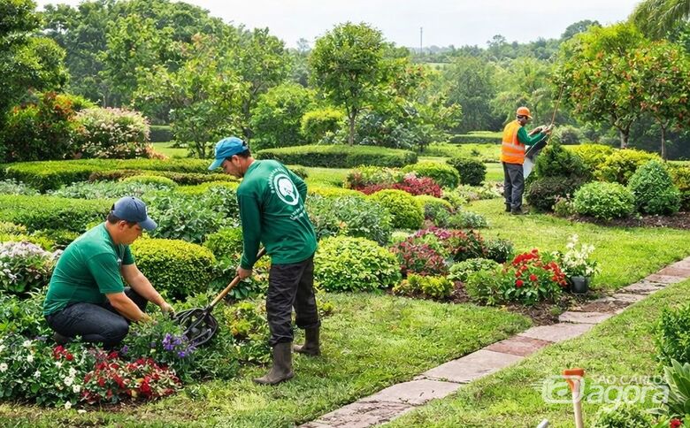 Ambiental Podas & Manejos amplia atuação e passa a oferecer serviços de jardinagem e paisagismo -