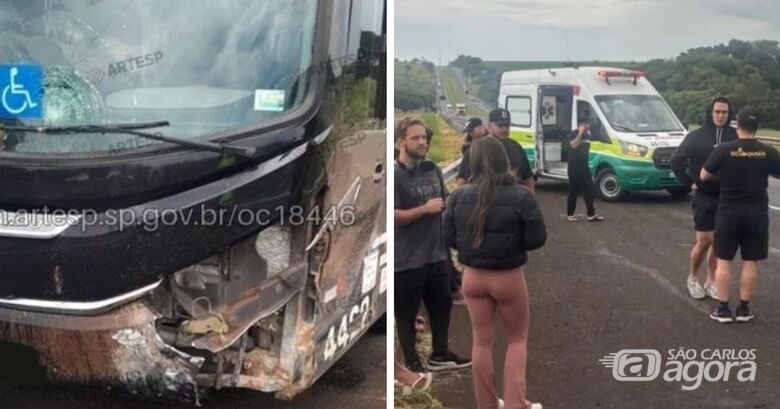 Ônibus do cantor Latino sofre acidente na SP-310 - Crédito: Foto: Artesp e Redes Sociais