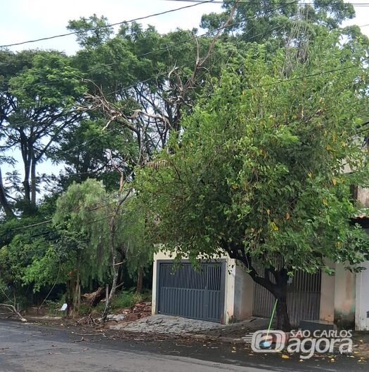 Árvore cai sobre residência no Cidade Aracy após chuva - 