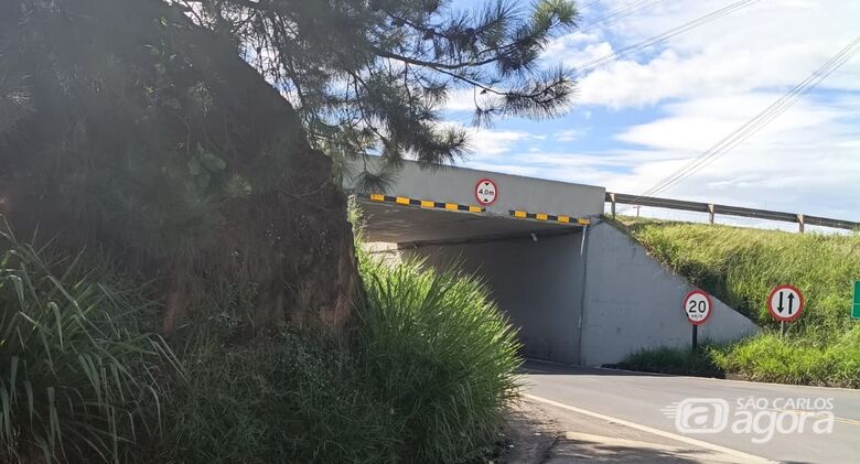 Morador cobra melhorias em segurança no pontilhão de acesso ao Jardim Tangará - 