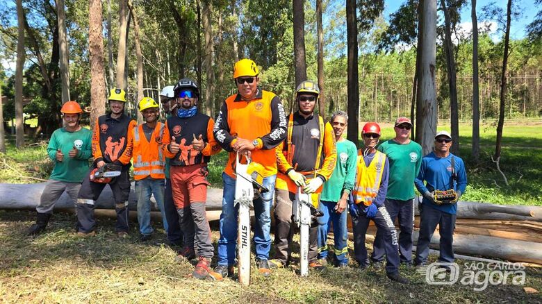 Ambiental Podas oferece soluções completas para manejo e preservação de árvores - 