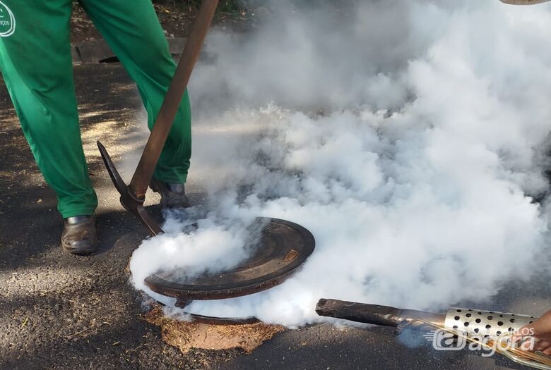 Prefeitura de Ibaté realiza dedetização em toda a cidade para combater pragas urbanas -