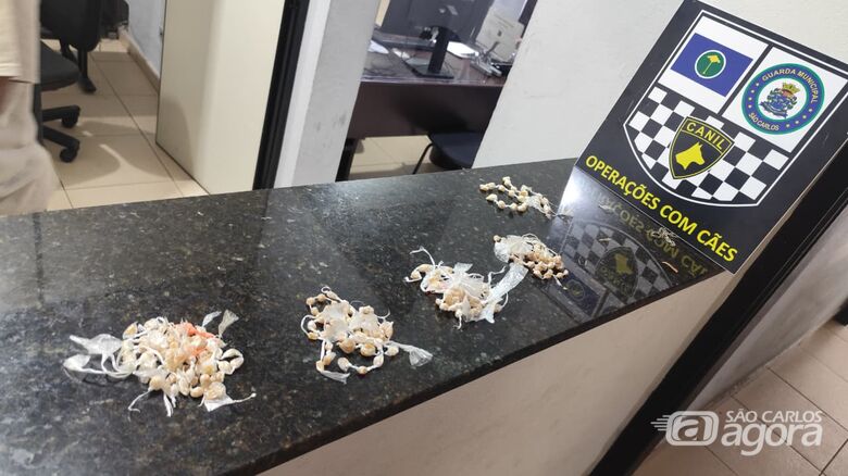 Canil da GCM encontra drogas em praça no Jardim Ricetti  - Crédito: SCA