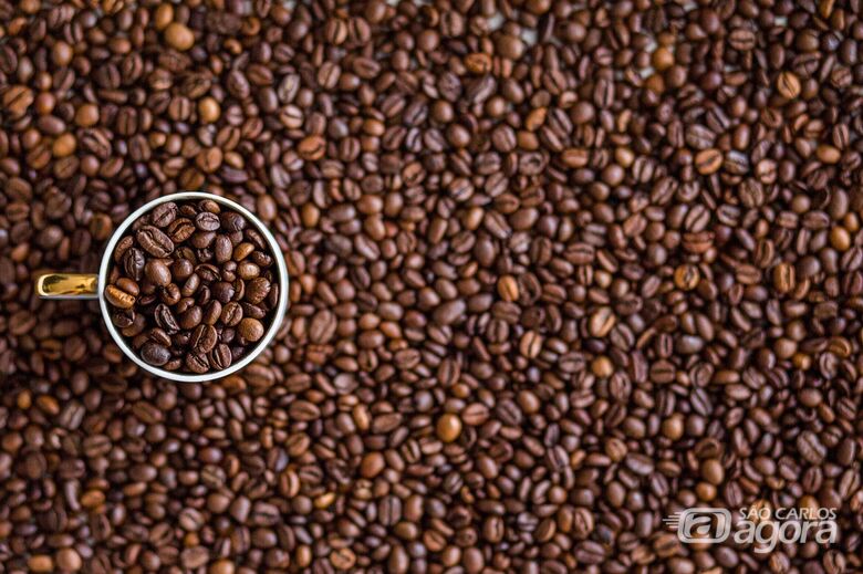 O café: segunda bebida mais consumida do mundo ela escreveu a história do Interior Paulista - Crédito: Agência Brasil 