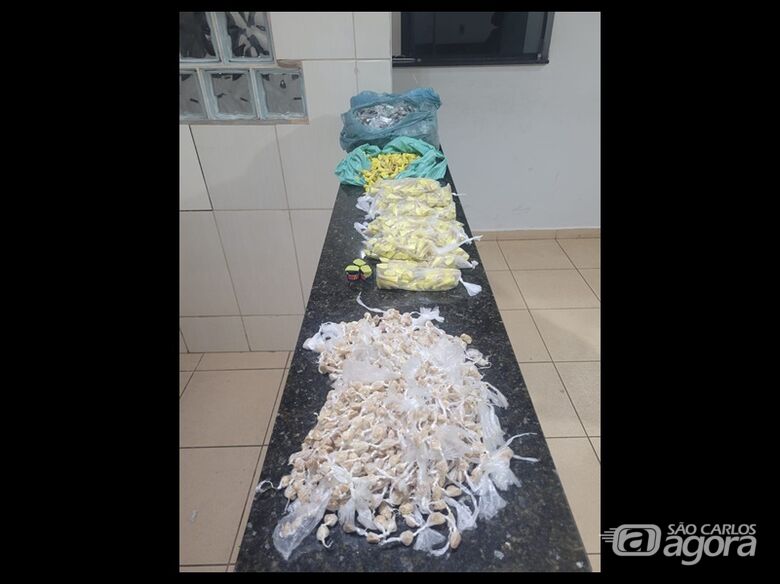 Força Tática apreende grande quantidade de drogas em residência no Presidente Collor - Crédito: SCA