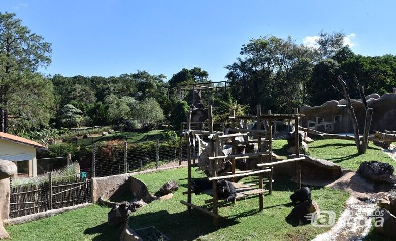 Parque Ecólogico de São Carlos - Crédito: divulgação 