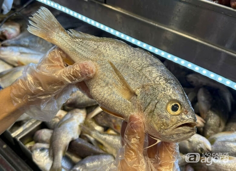 Você sabe identificar peixe fresco? Especialistas dão dicas para não errar na compra - 