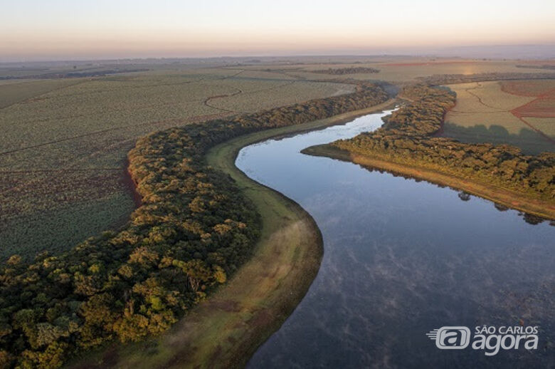 Estudo da UFSCar aponta mudanças nas áreas de mata ciliar em São Paulo ao longo de quase 40 anos - Crédito: (Foto: Paulo Guilherme Molin)