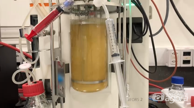 (Foto: Adilson Silva e José Neves - DEQ/UFSCar) - 