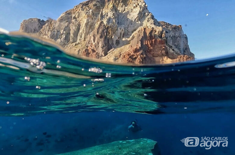 Professora Kátia Capel durante mergulho (Foto: Carmina Reñones) - 