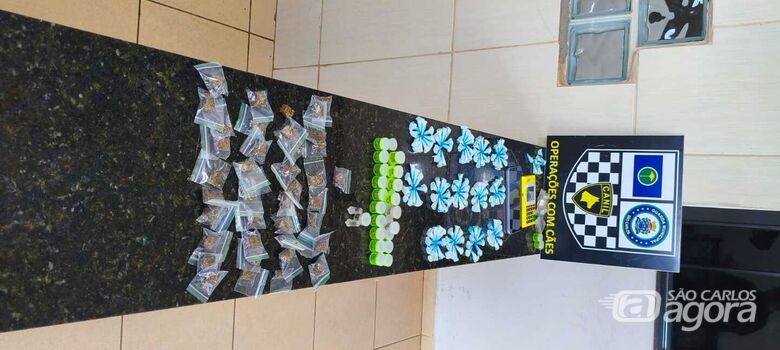 Canil da Guarda Municipal apreende grande quantidade de drogas e detém menores no São Carlos 5 - Crédito: SCA