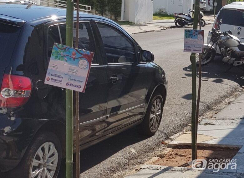 Prefeitura realiza audiências públicas para construção do Plano de Arborização Urbana -