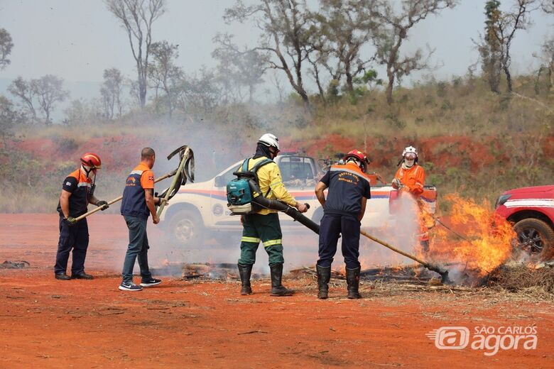 Defesa Civil de São Carlos participa de capacitação da Operação SP Sem Fogo para período de estiagem - 